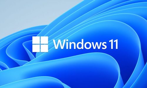 Top Things to Setup Your Windows 11